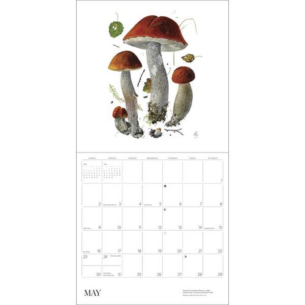 Alexandar Viazmensky, Mushrooms Calendar 2027, Wall Calendars, Month To View, Natural World, Gift