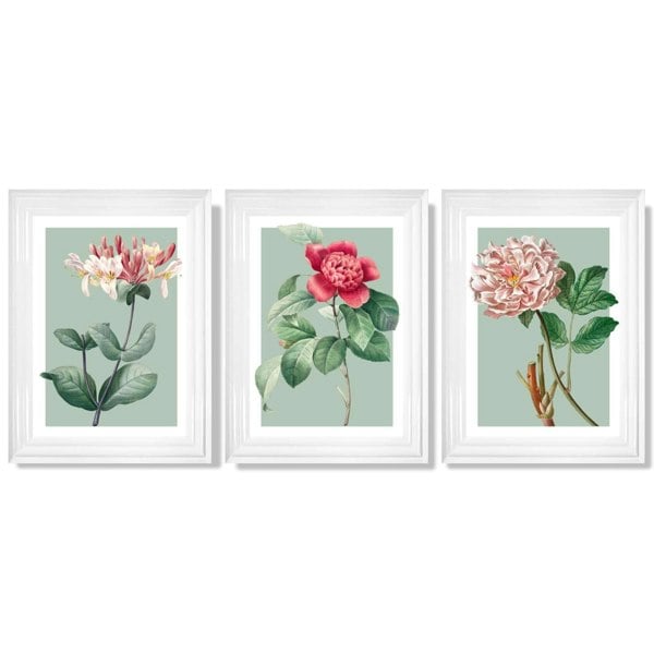 Artze Wall Art Vintage Flowers Honeysuckle, Peony Set of 3 Framed Prints