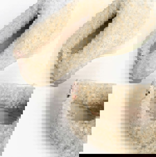 Bedroom Athletics ALICIA Womens Mule Slippers Cream