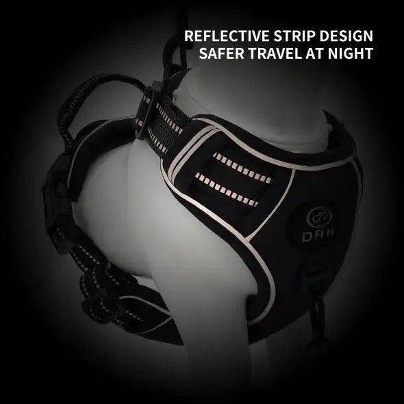 DRYBONES Dog Harness