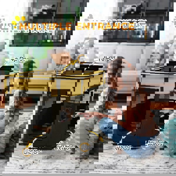 D06-217V01YL