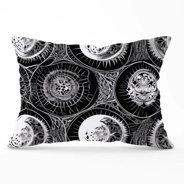 Warren Reed Black White Moon and Sun Cushions