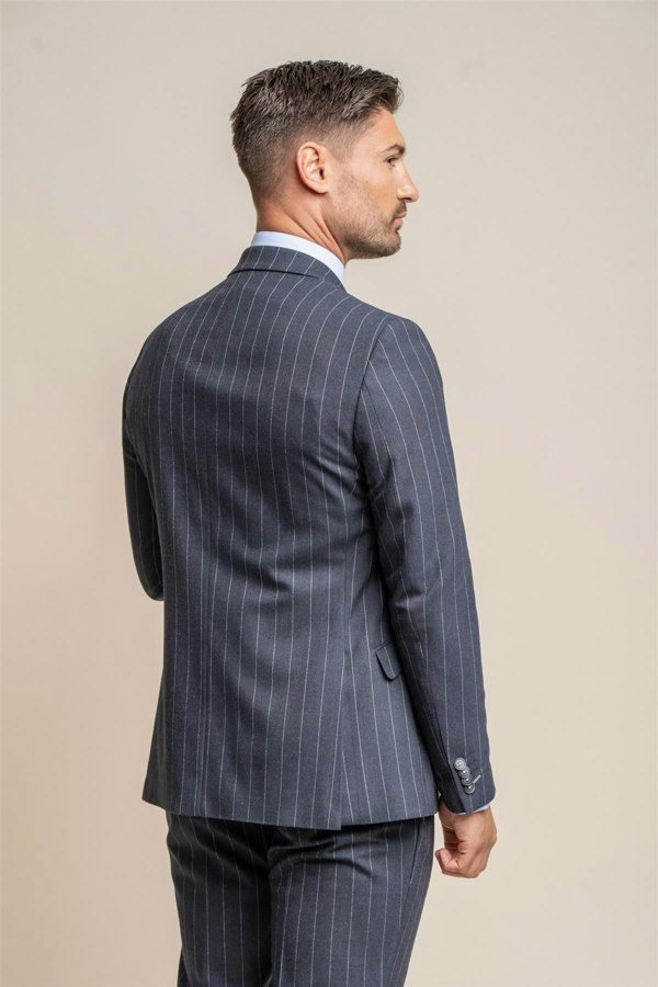 Invincible striped blazer back