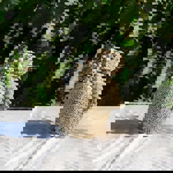 Small Stone Cast Anchisaurus Garden Sculpture Dinosaur Animal Statue