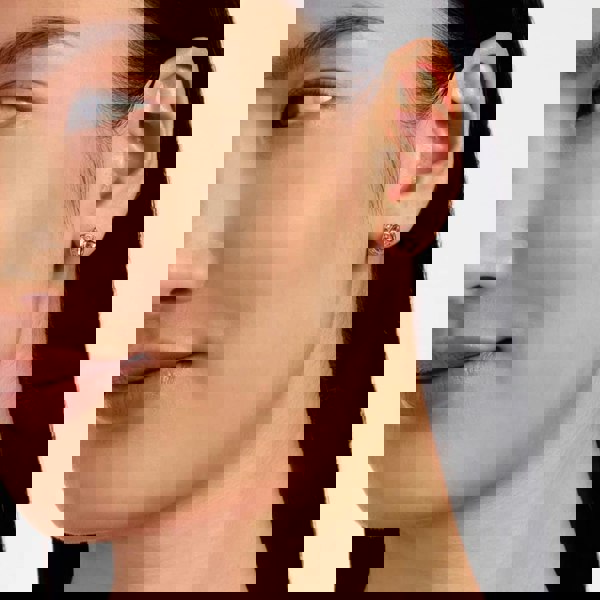 Ted Baker Soletia Rose Gold Tone Plated Crystal Halo Stud Earrings TBJ3698-24-193