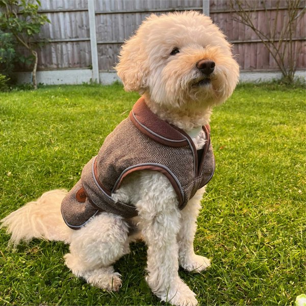 HugglePets Legacy Herringbone Dog Coat - HugglePets