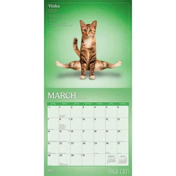 Yoga Cats Calendar 2027, Wall Calendars, Month To View, Humour, Gift