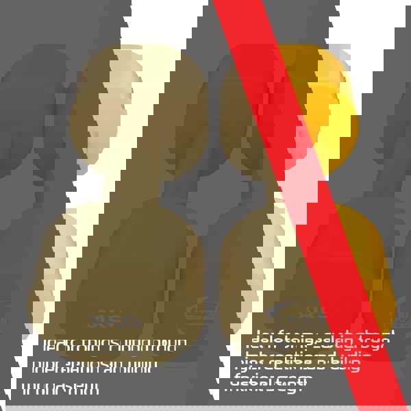 Body Revolution 2 x 8KG Neoprene dumbbells