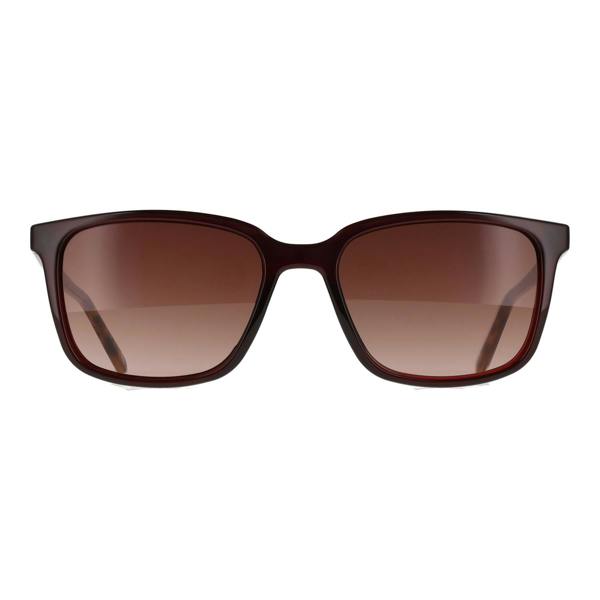 Ted Baker Sunglasses TB1529 Farley 249 Tortoise Brown Gradient
