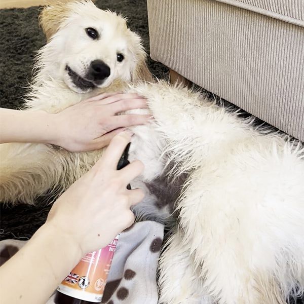 HugglePets Bubbly Tails Dog Cologne