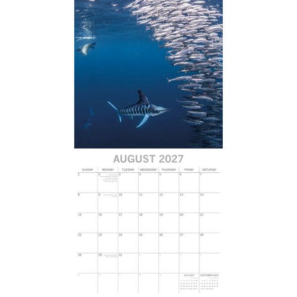 Under The Sea Calendar 2027, Wall Calendars, Month To View, Animals, Gift