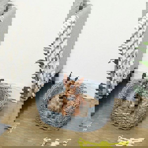 D04-109