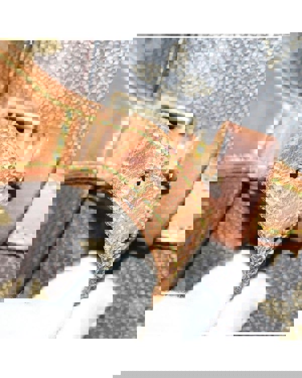 205661582.jpg
