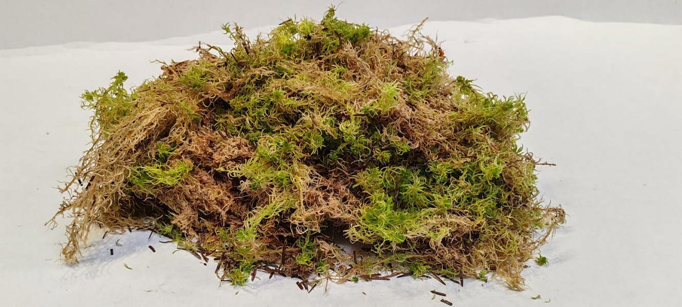SPHAGNUM MOSS BEDDING