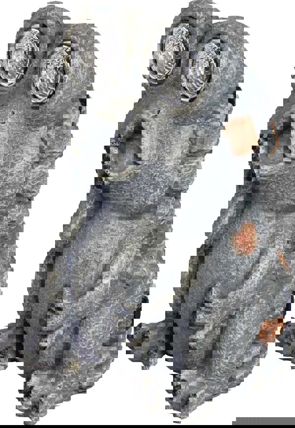 Luxform Solar Stone Frog Led Light