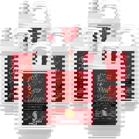 ProKleen Pro-Kleen Designer Bacarrat Rouge Fragrance Carpet Shampoo 4L