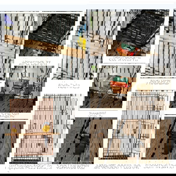 D10-024V01