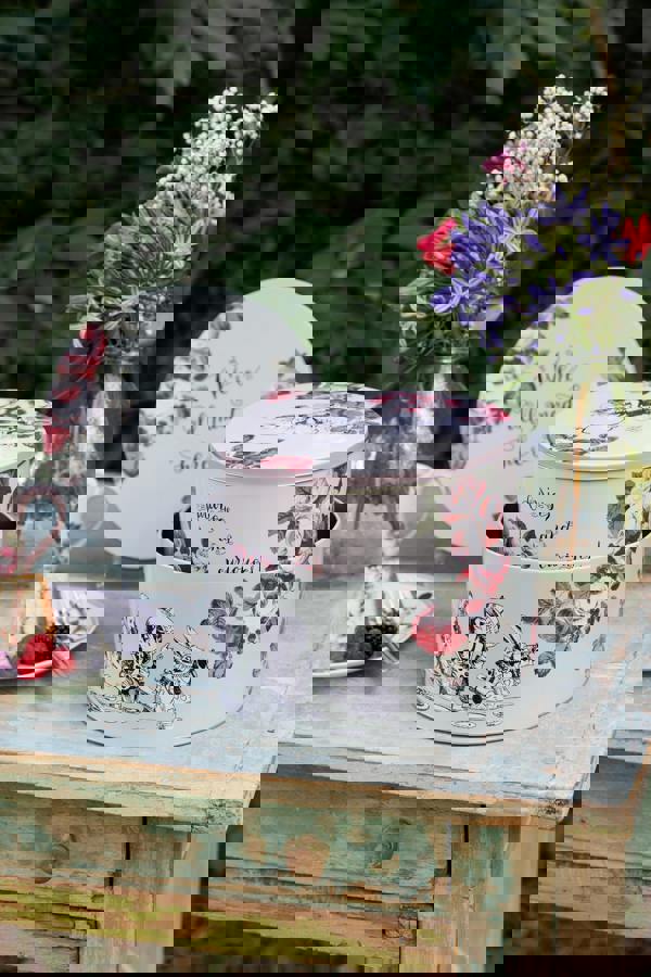 Mikasa and the V&A Alice In Wonderland Cake Tins, Set of 2