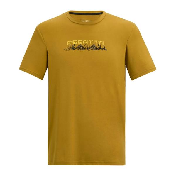 Regatta Mens Fingal Mountain T-Shirt - Wood Brown - 