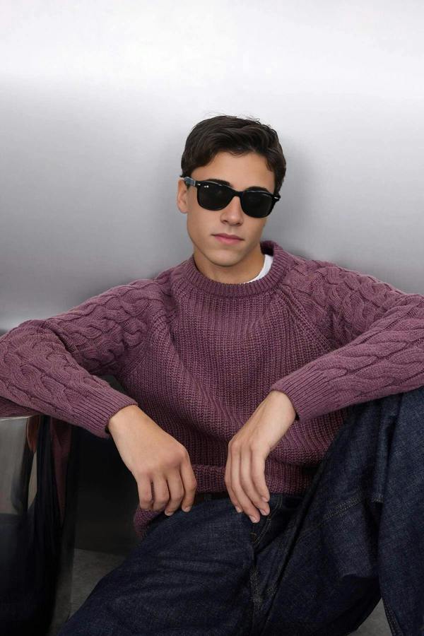 WOVCOR Regular Fit Woolen Crew Neck Knit Men's Sweater with Hair Knitting Detail