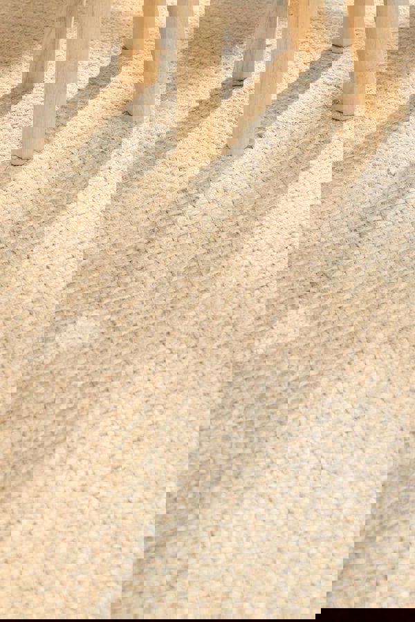 The Rugs Sharmila Handwoven Jute Rug - Natural & Durable