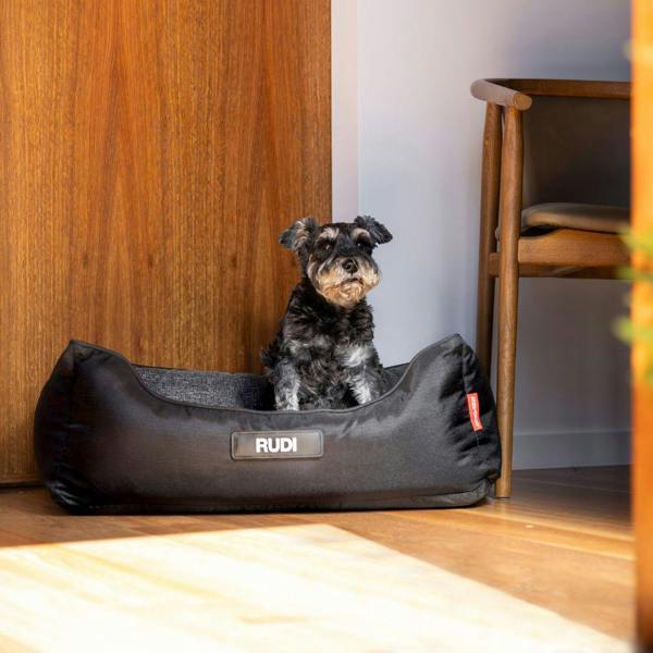 EzyDog Smart Orthopaedic 2 in 1 Design Dog Bed