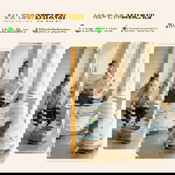 Self Cleaning Litter Box