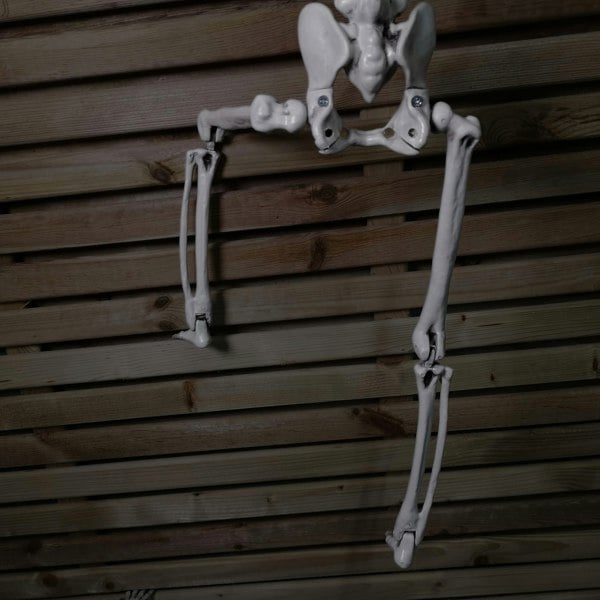 Samuel Alexander 90cm (3ft) Posable Full Body Halloween Skeleton Decoration with Movable Joints