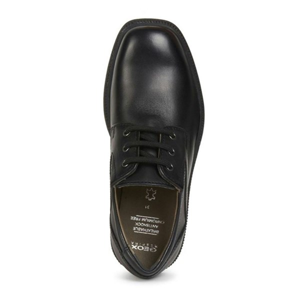 Geox Boys School Lace Up Jr Federico Shoes Lace