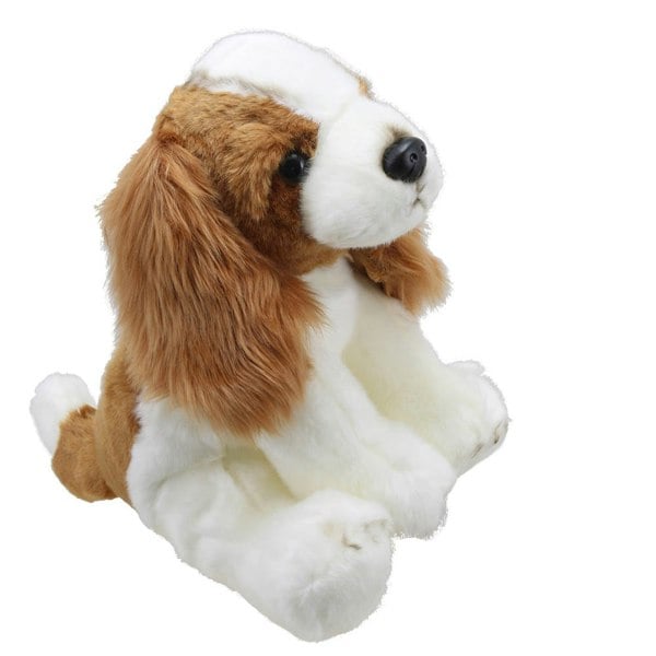 Wilberry King Charles Spaniel - Wilberry Favourites