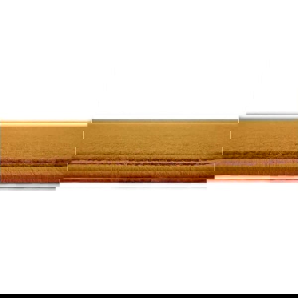 Solid Design Living Room Rug in Ochre – The Rugs