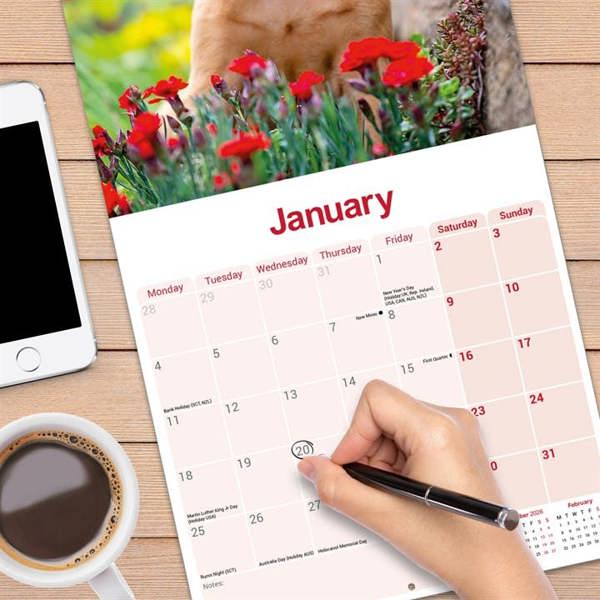 Vizsla Calendar 2027, Wall Calendars, Month To View, Dogs, Gift