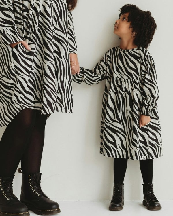 Multicolour Zebra Streak Print Dress - image 1