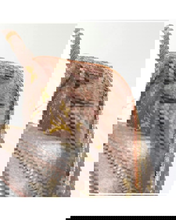 168834734.jpg