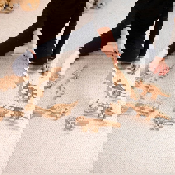 tickit Wooden Dinosaur Blocks