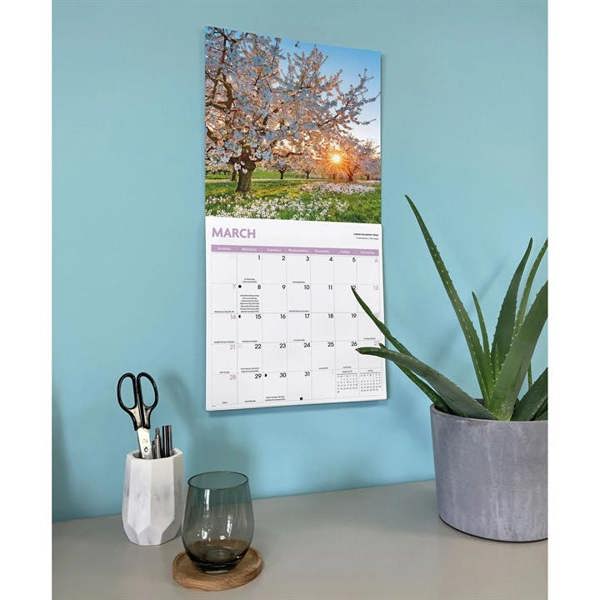 Trees Calendar 2027, Wall Calendars, Month To View, Natural World, Gift