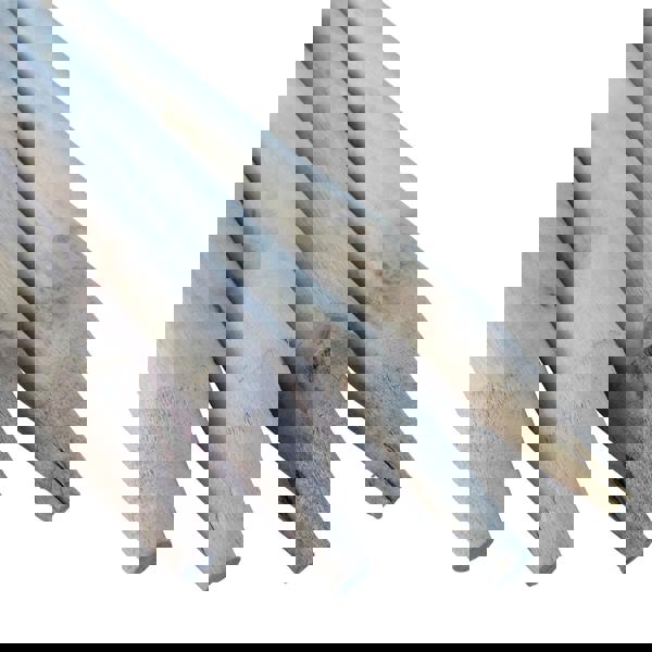 Wooden Pole Striped Camping Windbreak - Yellow 5.7M (Beach Holiday Garden Weather Shelter)