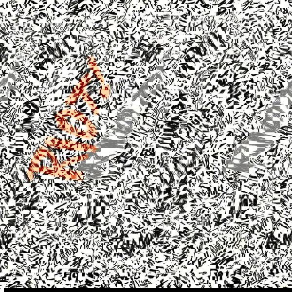 Paramore 'Riot!' LP Black Vinyl