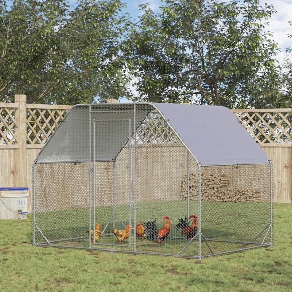 Chicken Coop