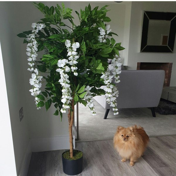 Leaf 130cm Luxury Artificial Wisteria Tree White Flowers - Premium Range