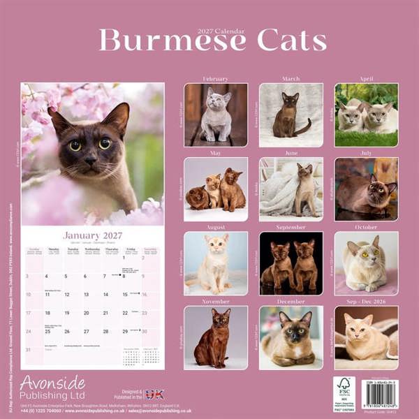 Burmese Cats Calendar 2027, Wall Calendars, Month To View, Cats, Gift