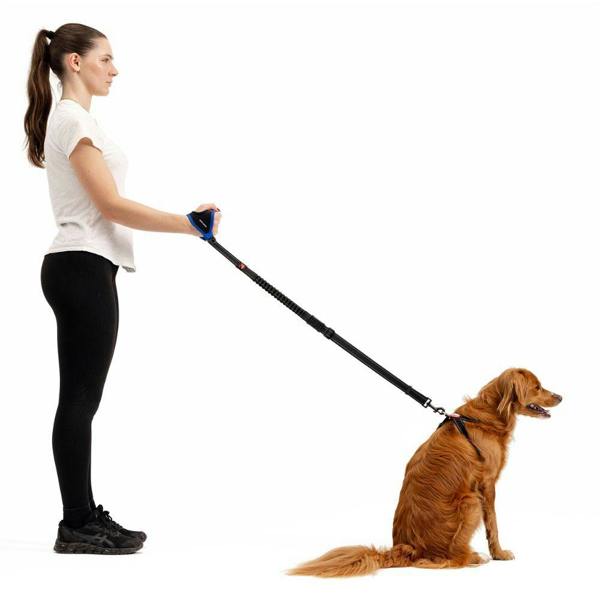 EzyDog Zero-Shock Handy Dog Lead