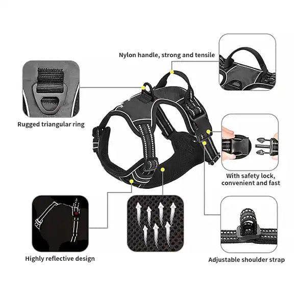DRYBONES Dog Harness