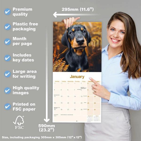 Dobermann Calendar 2027, Wall Calendars, Month To View, Dogs, Gift