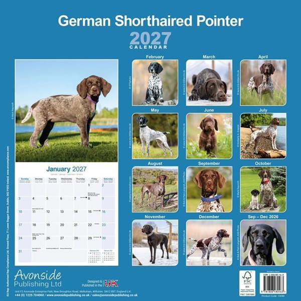 German Shorthaired Pointer Calendar 2027, Wall Calendars, Month To View, Dogs, Gift