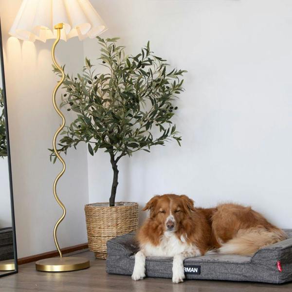 EzyDog Next Gen Orthopaedic Lounger Dog Bed