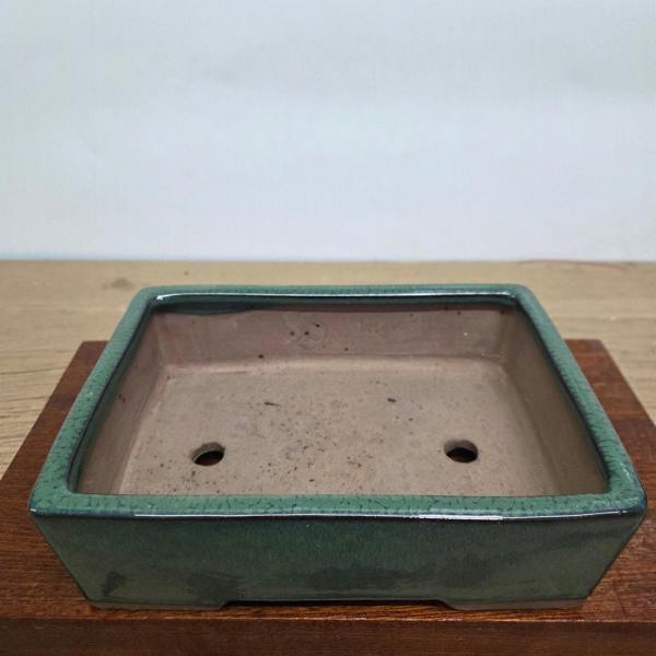 Yorkshire Bonsai 22cm Glazed Bonsai Pot | Rectangle | 22cm x 17cm x 7cm | Dark Green