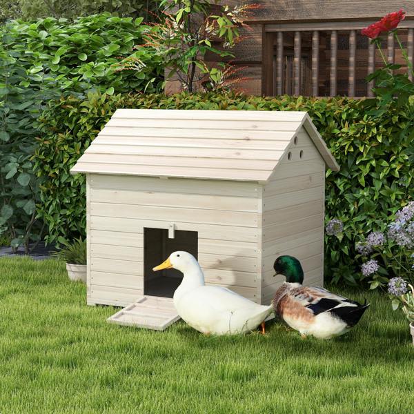 Duck House