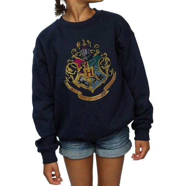 Harry Potter Girls Hogwarts Houses Cotton Sweatshirt - Navy Blue