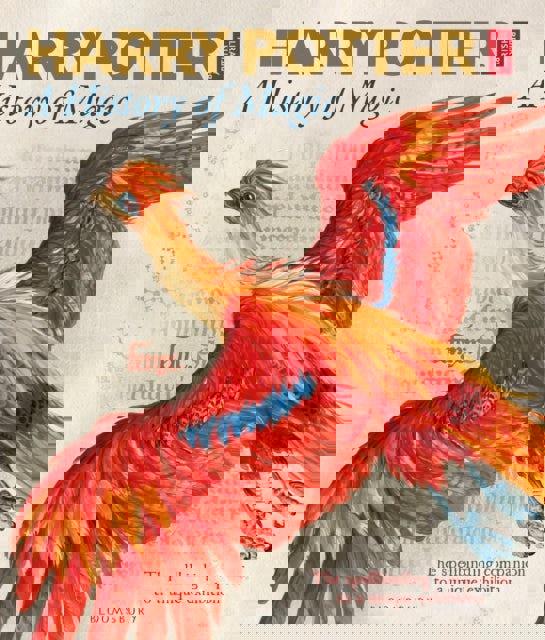 Harry Potter A History Of Magic - The Book Of The Exhibition